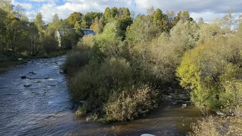 2 Vantaa River Walks ‒ Scenic riverside trails(2)