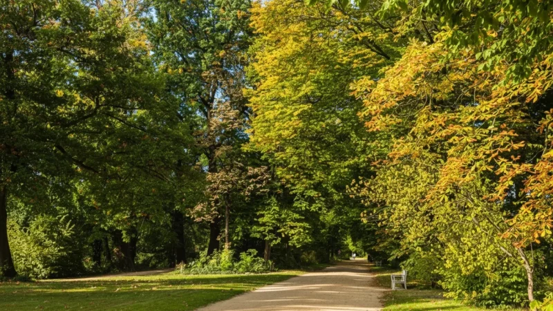 2. Charlottenburg Palace Gardens(4)