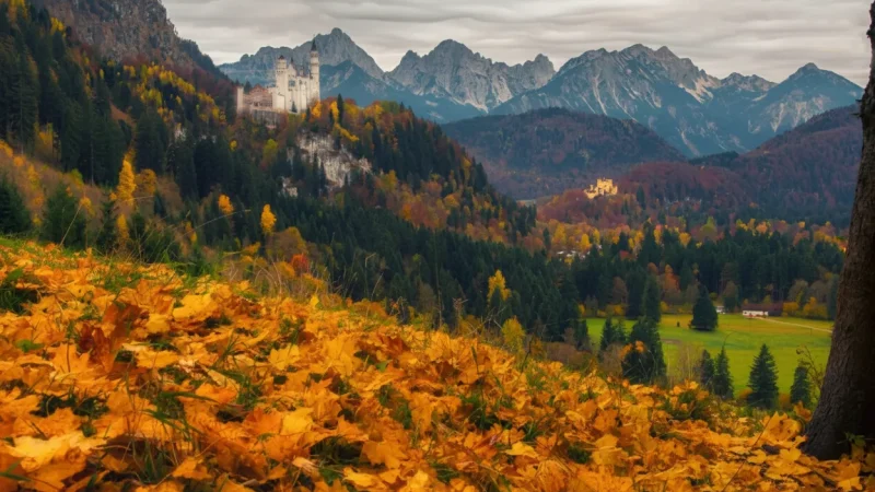 2. Hohenschwangau Castle(2)