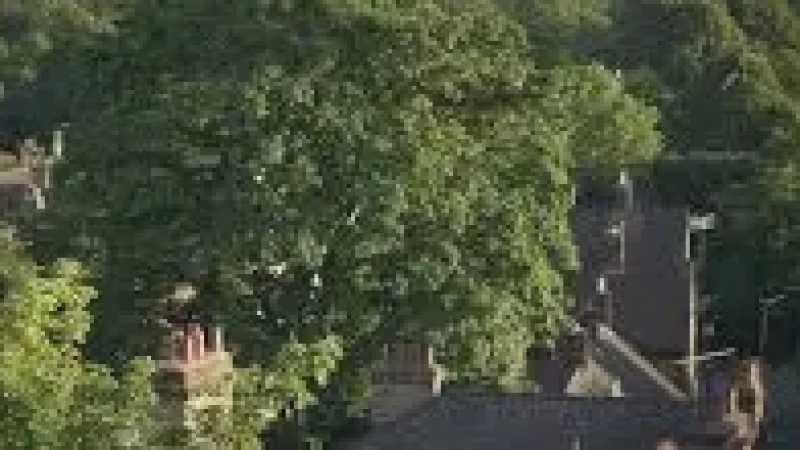 20) Castle Mound(6)