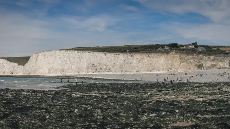 20) Cuckmere Haven(5)
