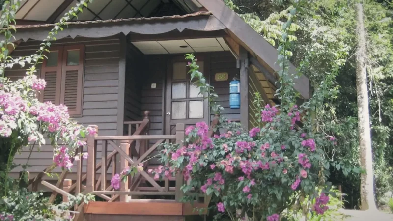 20) Rainforest Eco Camps(3)