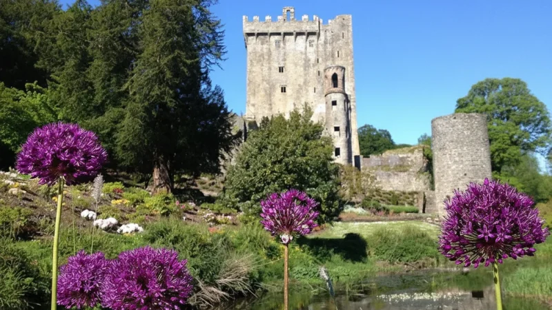 3) Blarney Castle Gardens(3)