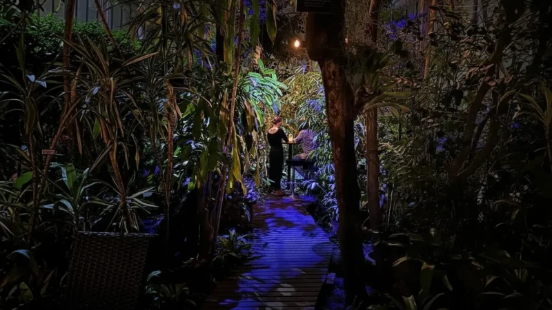 3 Botania Botanical Garden – Plants and exhibitions(4)