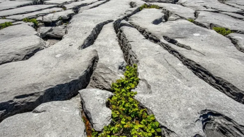 3) Burren National Park(5)