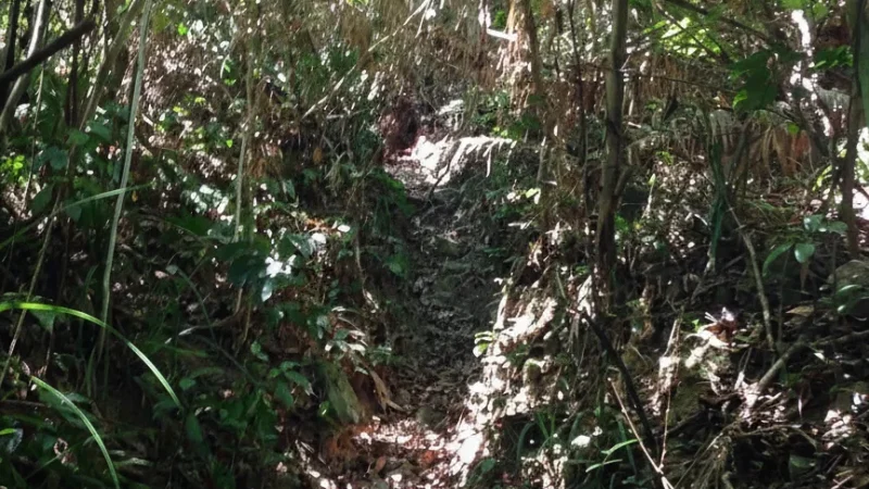 3 Kep National Park – Forest trails and viewpoints(4)