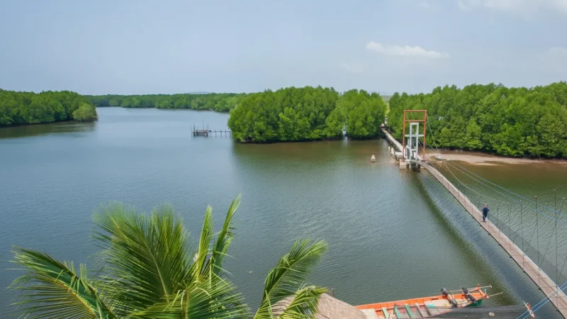 3 Observation Towers – Bird watching views(5)