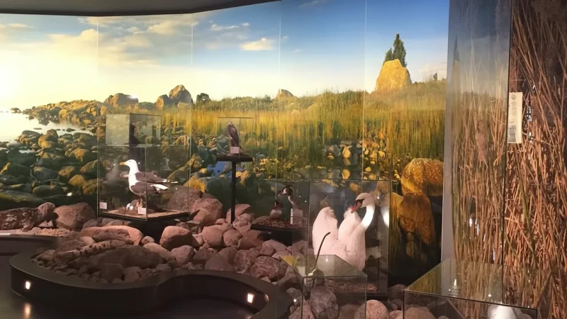 3 Terranova Museum – Natural history exhibitions(5)