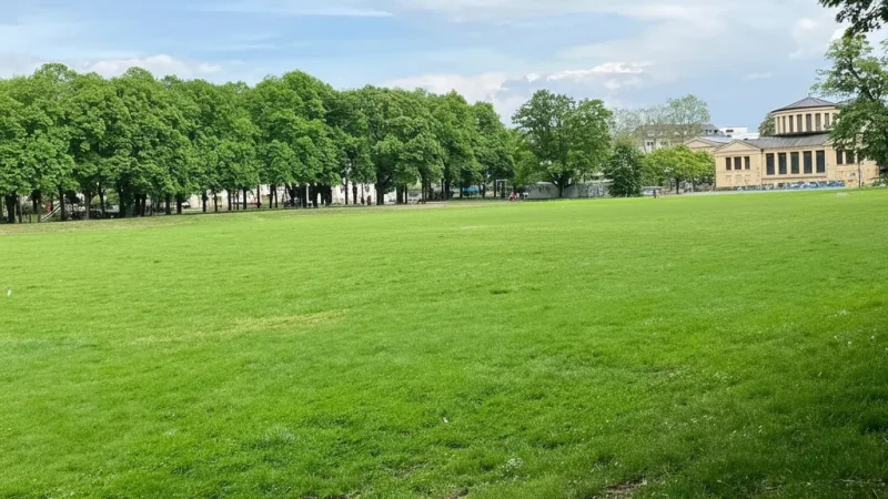 3. Hofgarten Bonn(3)