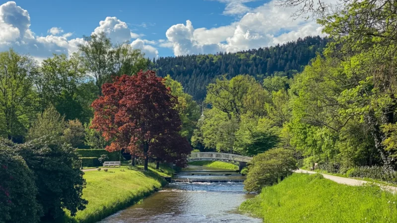 3. Lichtentaler Allee(5)