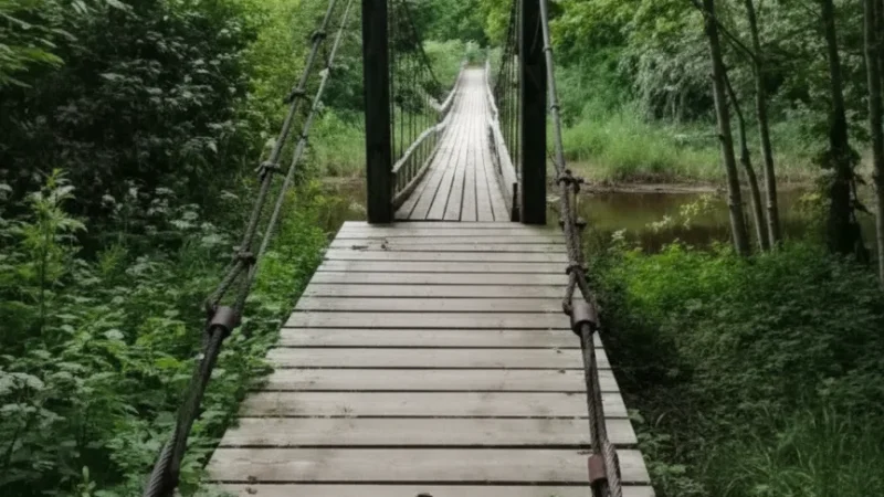 3. Pedja River Area – Scenic(4)