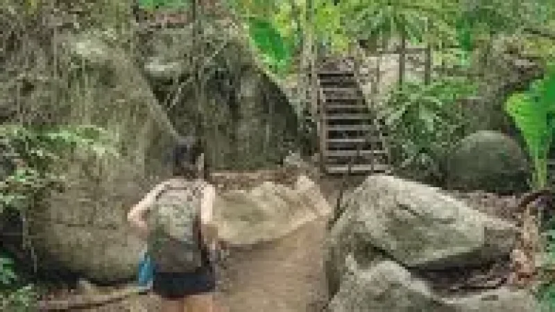 4 Hiking Forest Trails – Jungle walking routes(2)