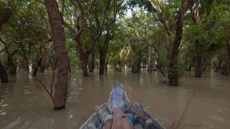 4 Kampong Phluk – Mangrove and stilt village area(3)