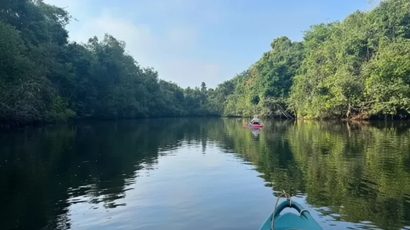 4 Kayaking Areas – Slow river exploration(3)