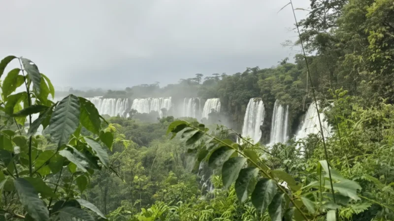 4 Lower Circuit Trails – Close waterfall access(1)