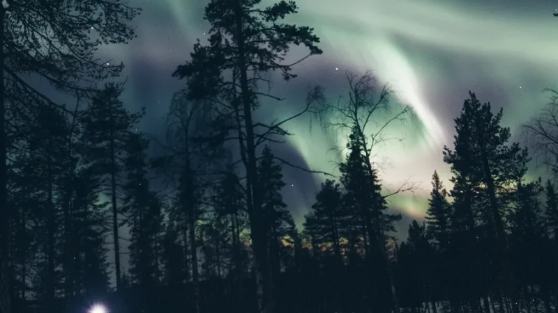4 Ounasvaara Hill ‒ Views over Rovaniemi and forests(2)