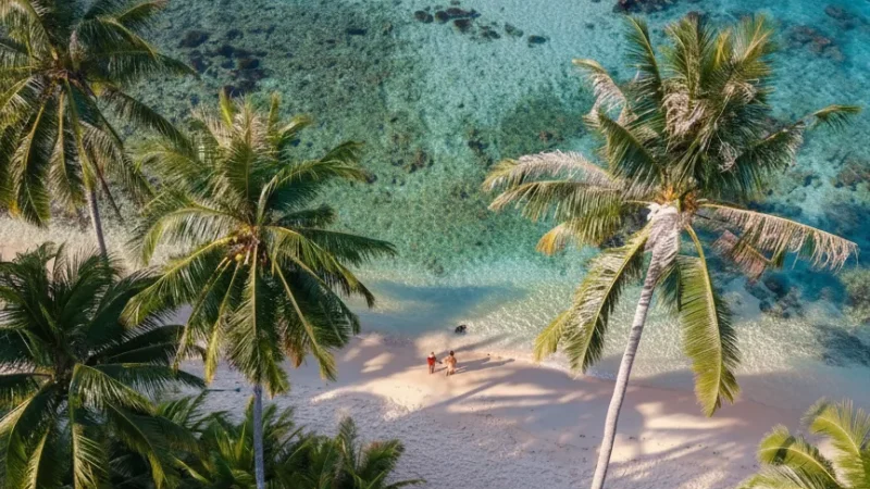4 Palm-Shaded Areas – Relaxing rest spots(3)