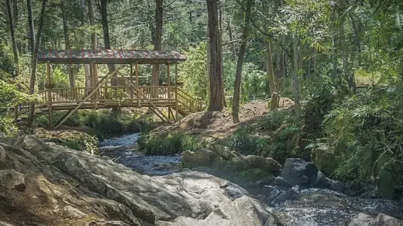 4 Parque Arví – Nature park above the city(2)