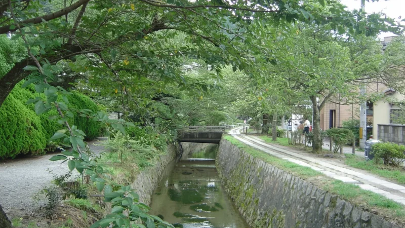 4) Philosopher’s Walk(4)