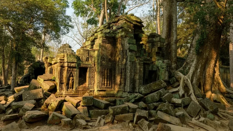 4 Ta Prohm – Jungle-covered ruins(3)
