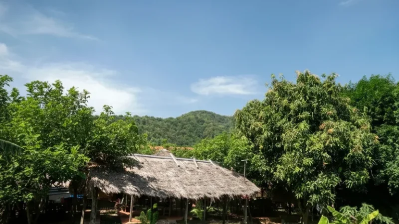 4 Worker Shelters – Traditional field huts(1)