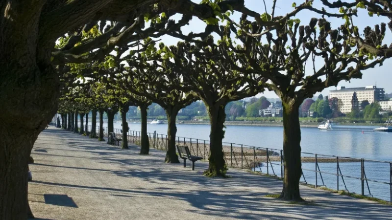 4. Rhine Promenade Bonn(3)