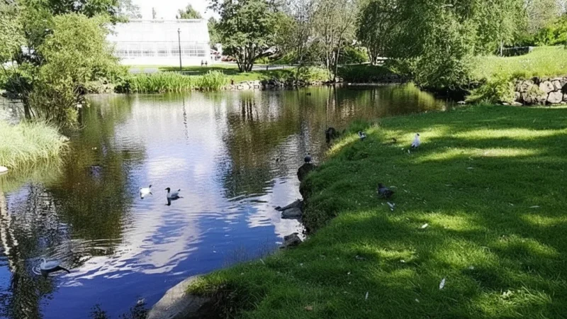 5 Ainola Park – Green urban park(3)