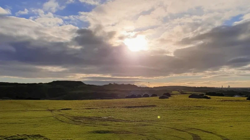 5) Curragh Plains(1)