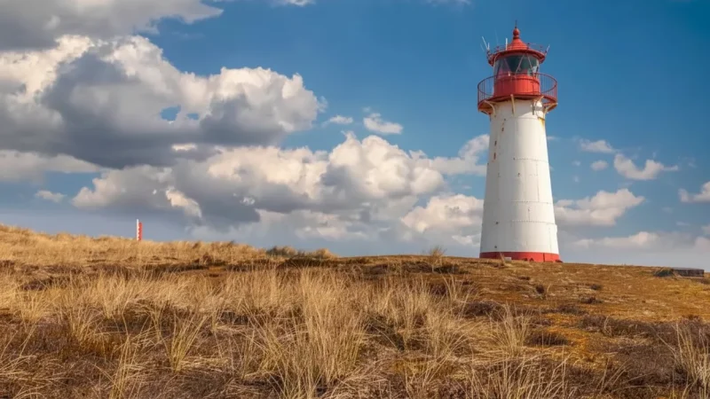 5) Ellenbogen Nature Reserve(5)