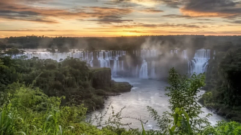 5 Iguazú National Park Areas – Protected rainforest zones(5)