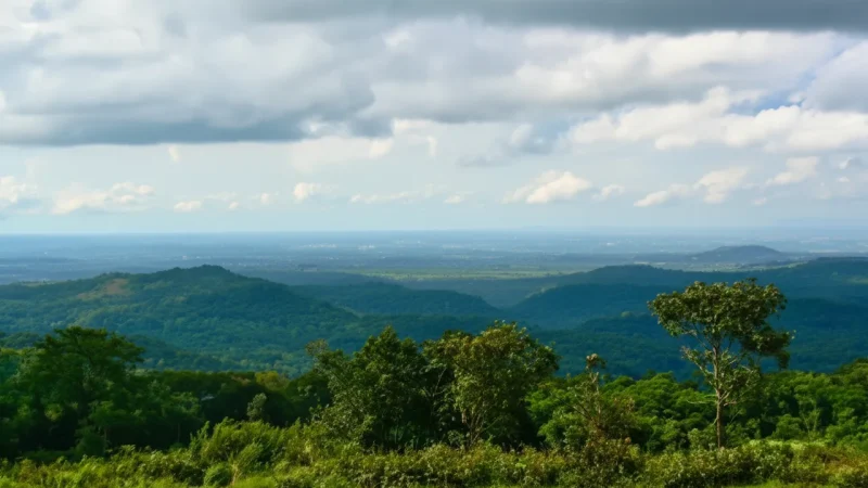 5 Jungle Paths – Dense forest exploration(2)