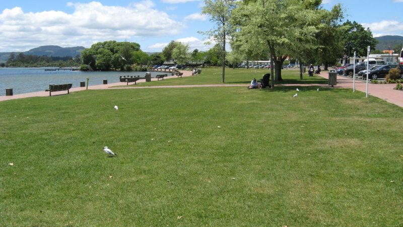 5 Lakefront sunny day