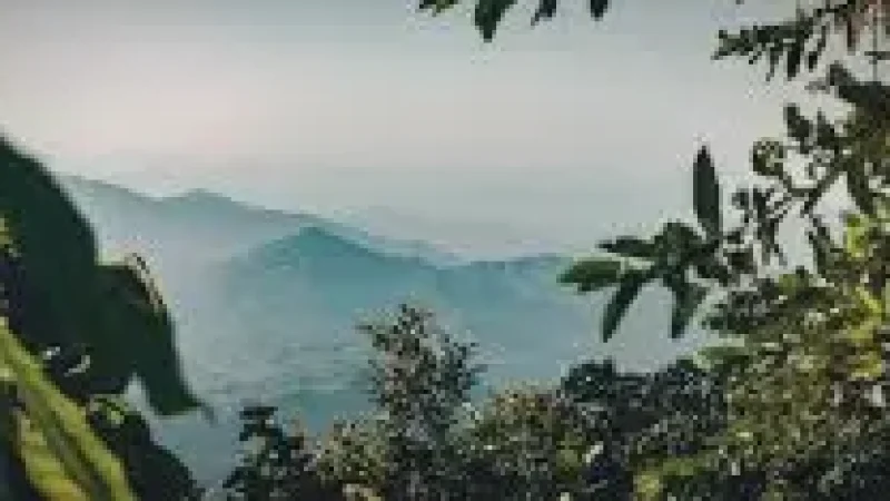 5 Mountain Viewpoints – Forest and valley views(3)