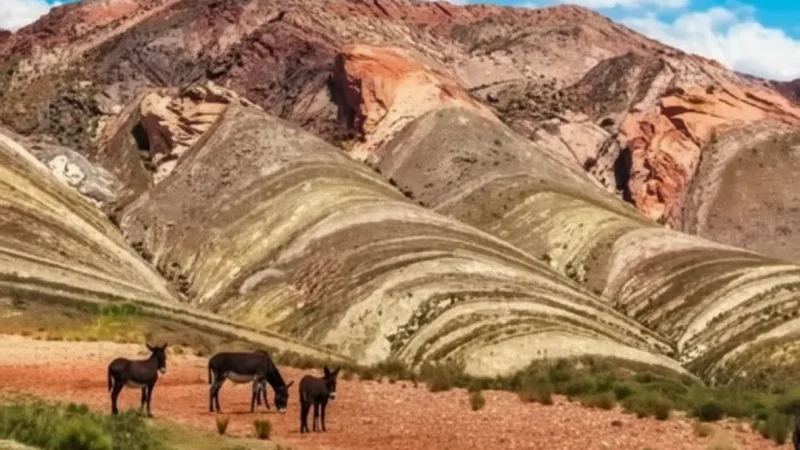 5 Quebrada Landscapes – Colorful valley views(5)