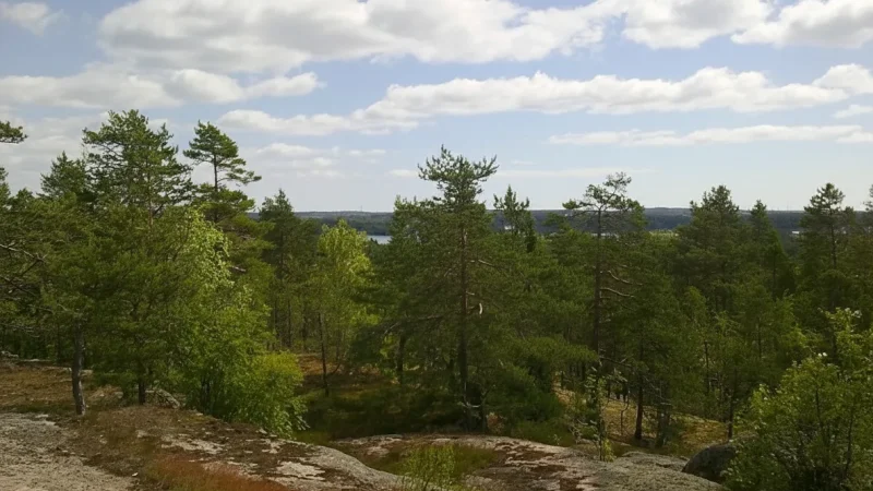 5 Rocky Viewpoints ‒ Elevated forest views(4)