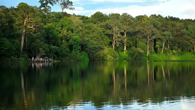 5 Shaded Picnic Spots – Relaxation areas(4)