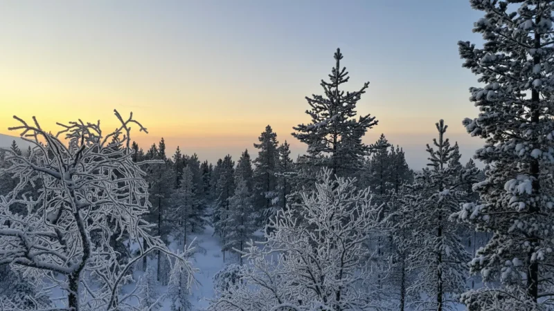 5 Snowshoeing Paths ‒ Winter nature walks(6)