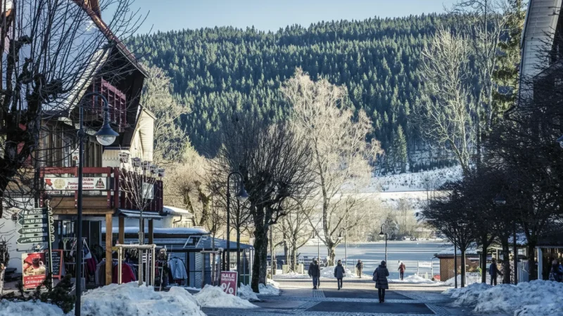 5) Titisee Promenade(1)