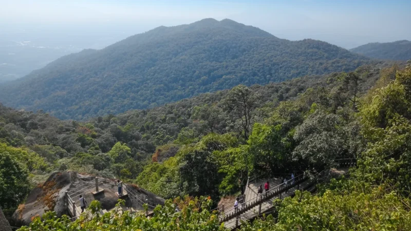 5 Wildlife Observation Zones – Natural Habitats(3)