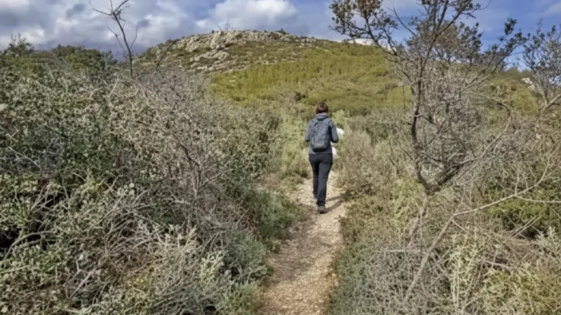 5. Nature Trails Network(1)