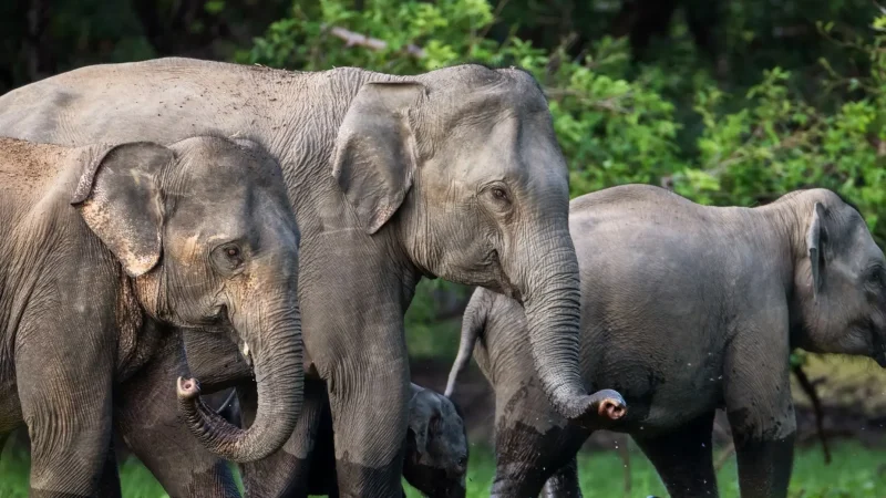 513892004_10161908965403992_968063185471246172_n