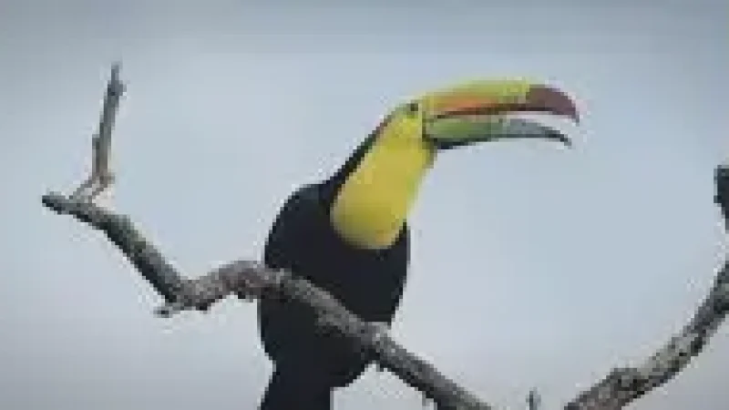 6 Birdwatching Areas – Rich wildlife zones(3)