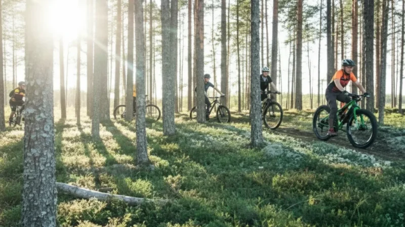 6 Cycling Routes – Scenic forest cycling paths(2)