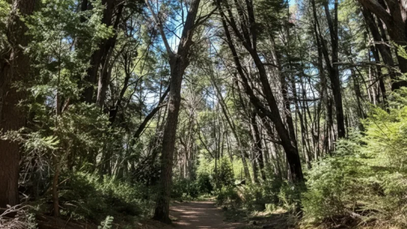 6 Jungle Walking Trails – Nature paths(5)