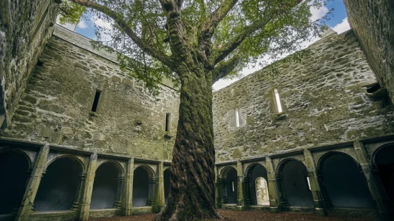 6) Muckross Abbey(5)