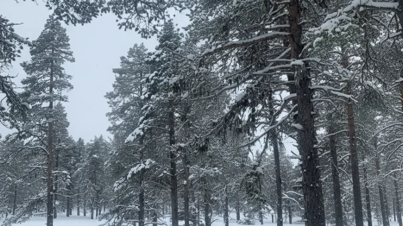 6 Snowshoeing Routes ‒ Winter nature walks(4)