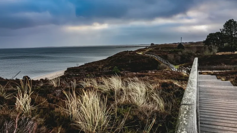 6) Wenningstedt-Braderup Cliffs(1)