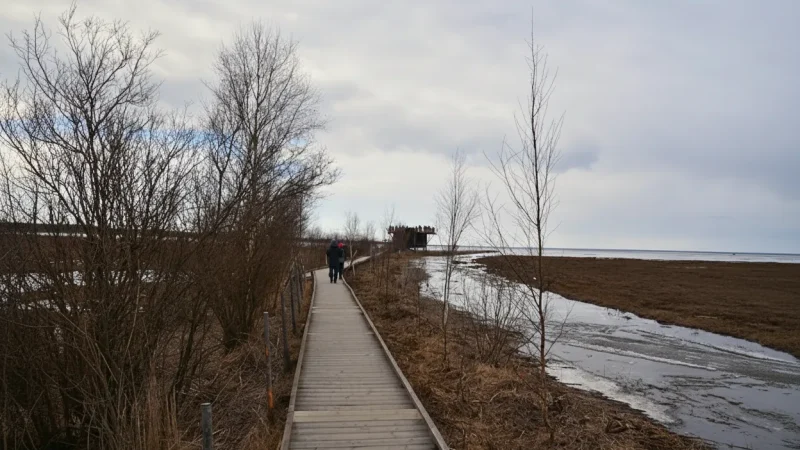 7 Birdwatching Areas ‒ Quiet observation points(4)