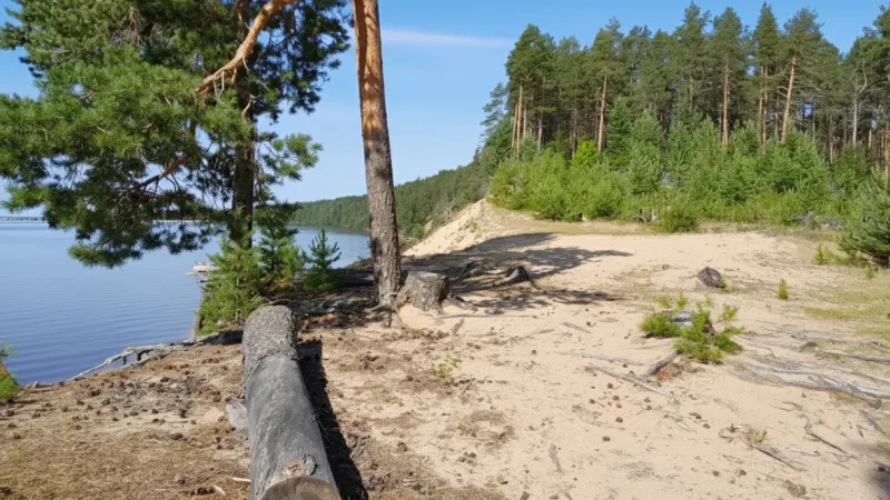 7 Forest Trails – Easy nature walks(4)