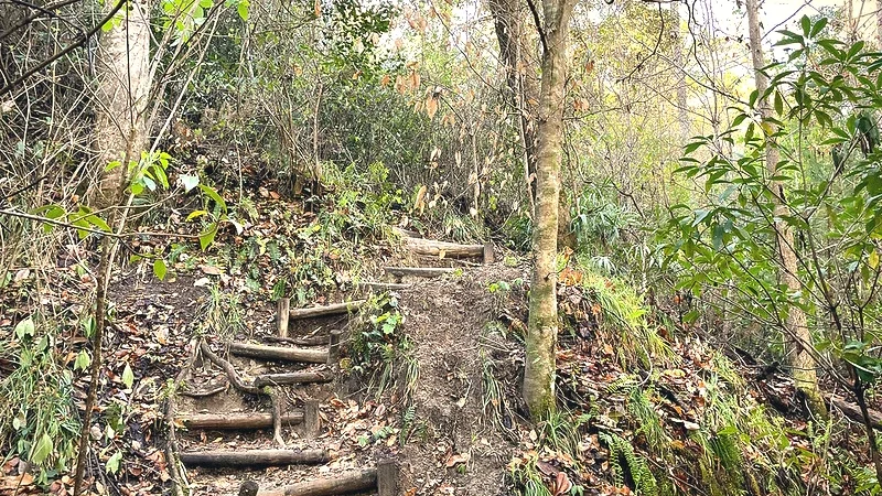7 Garden of Eden – Indigenous forest trails(2)